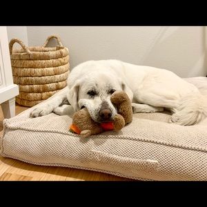 Meet your Posher, Marisa